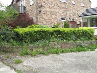 Picture 8